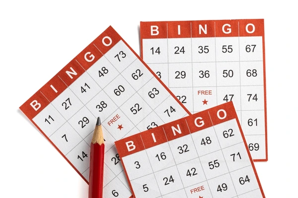 Bingo Wins
